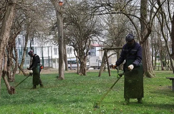 Kartepe'de Bahar Temizliği Yabani Ot ve Dikenler Temizleniyor